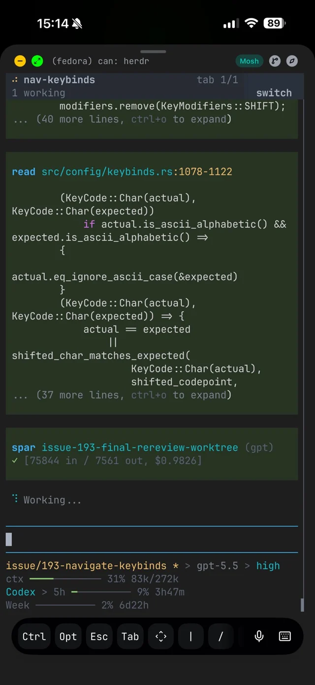 スマートフォンからMosh/SSHでherdrに再アタッチした画面。Codexエージェントが『Working…』状態で走り、下部にCtrl/Opt/Esc/Tabなどの補助キーバーが並ぶ