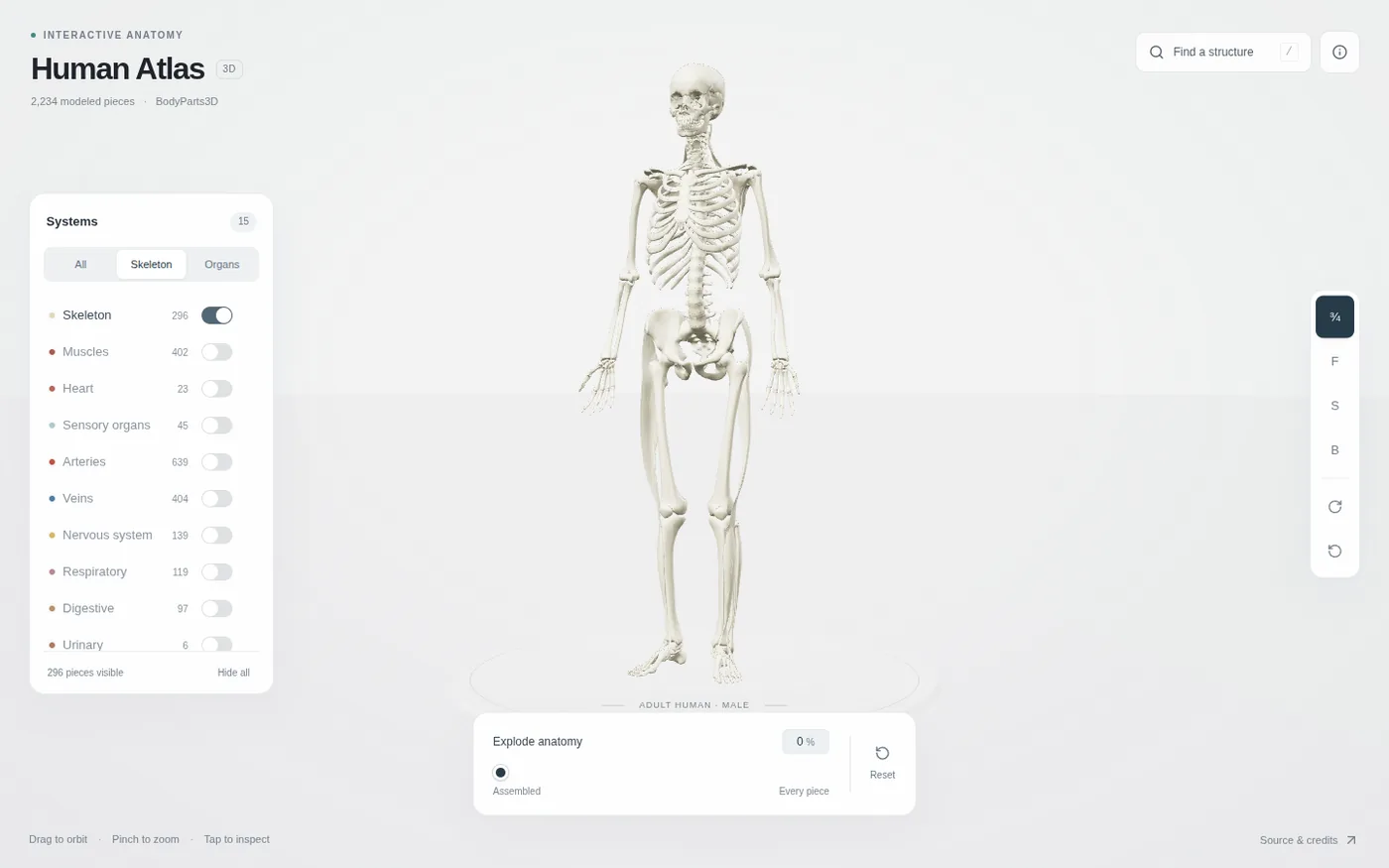 Skeletonプリセットを選んだ状態。骨格296パーツだけが表示され、他の14系統のトグルはオフになっている