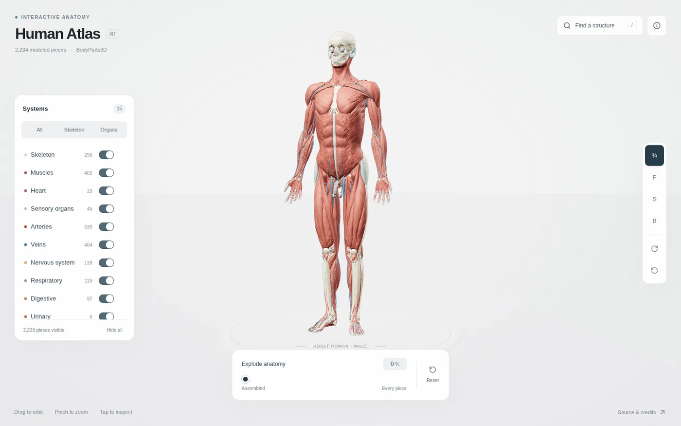 Human Atlasの初期画面。中央に成人男性の全身モデル、左に15系統の表示切替パネル（骨格296・筋402・動脈639など）、下に分解スライダー、右上に構造検索