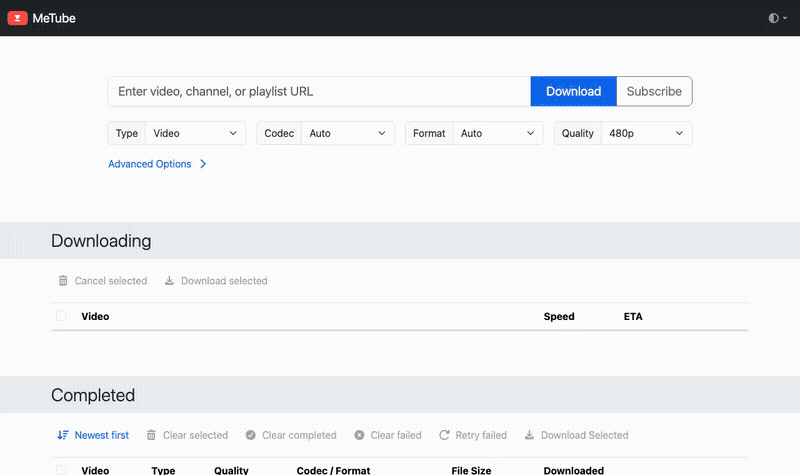 MeTubeのWeb UIにURLを貼り付けてダウンロードが進行する様子