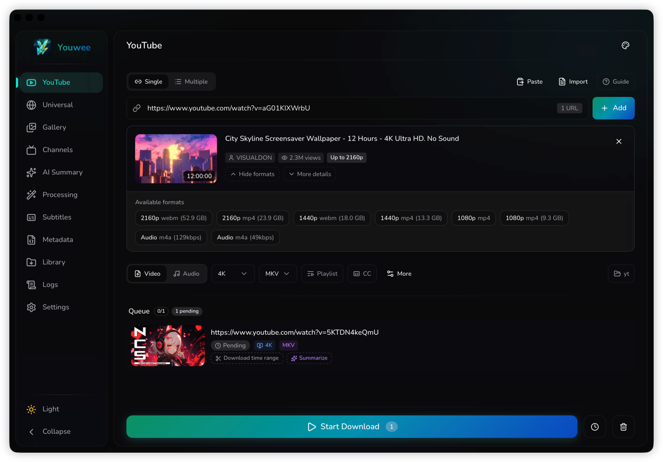 YouweeのメインUI（YouTubeダウンロード画面）。左サイドバーにYouTube/Universal/AI Summary/Processing/Subtitles等