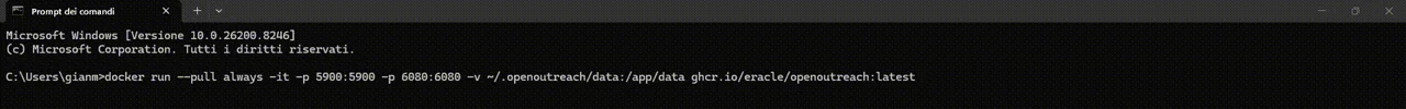 READMEのデモGIF冒頭フレーム：docker runでポート5900と6080を公開している
