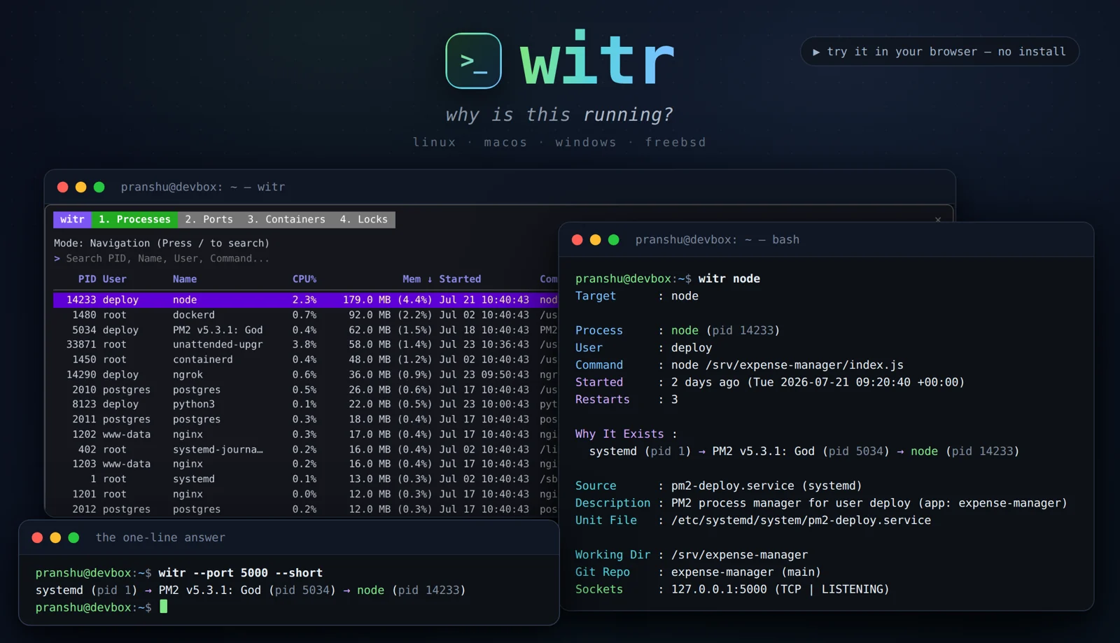 witr の TUI と CLI が同じ node プロセスについて systemd → PM2 → node の連鎖を表示している公式スクリーンショット